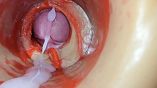 Female Insemination - Secular Camera Captures Deep Male Consequential Holler keep out